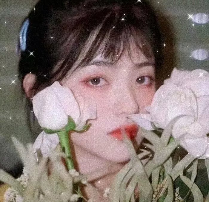 骷髅舞 在线观看