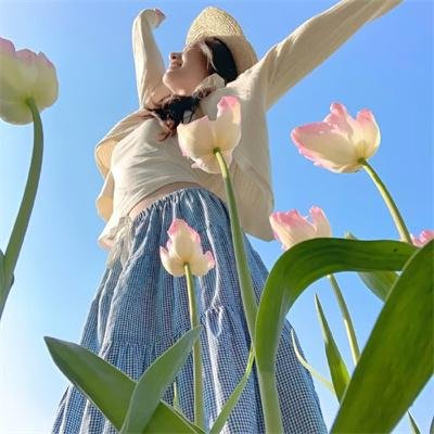 铁观音勇破爆炸党 在线观看